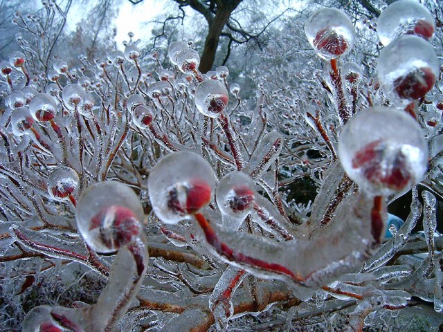 frozen-ice-art-2__880.jpg