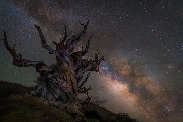 astronomy-photographer-of-the-year-2018-les-plus-belles-photos-53679f7d__w910
